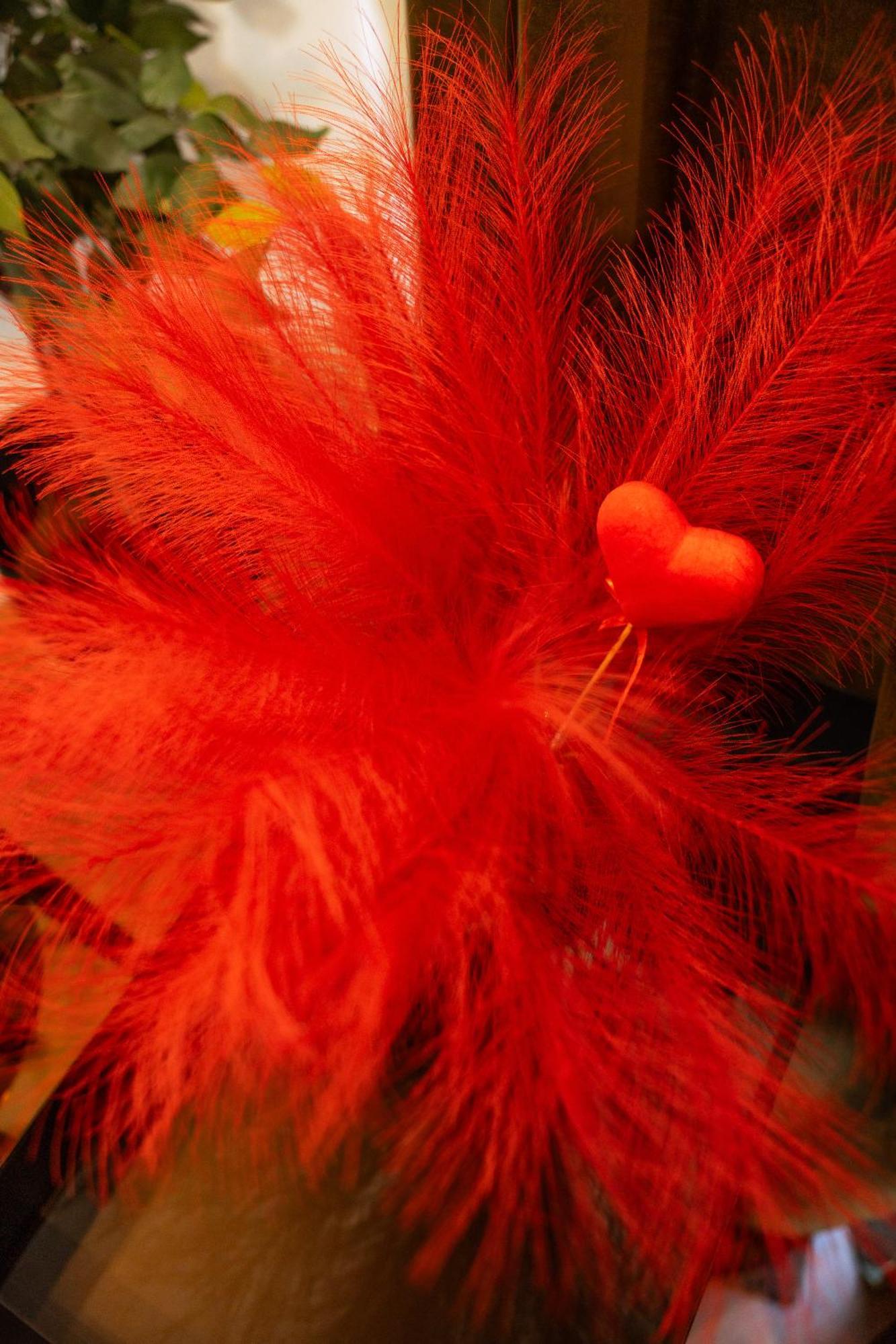 Love Room Casa Amore Prades (Pyrenees-Orientales) Exterior foto